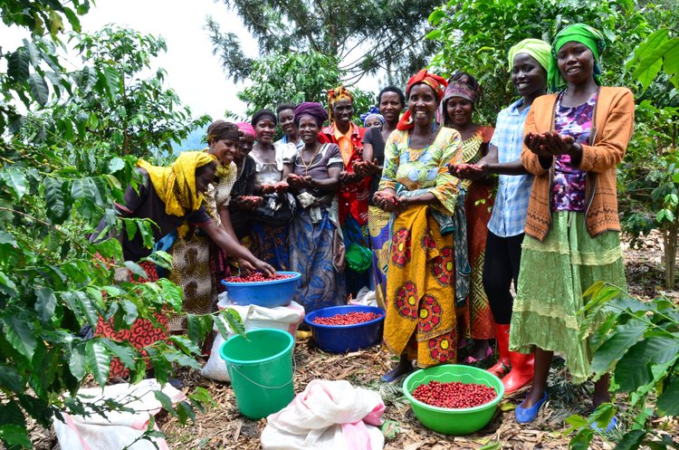 Ejo Heza Women's Group | Washed Bourbon