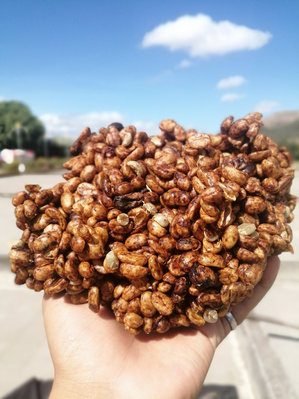 Nicolas & Angela | Red Catuai