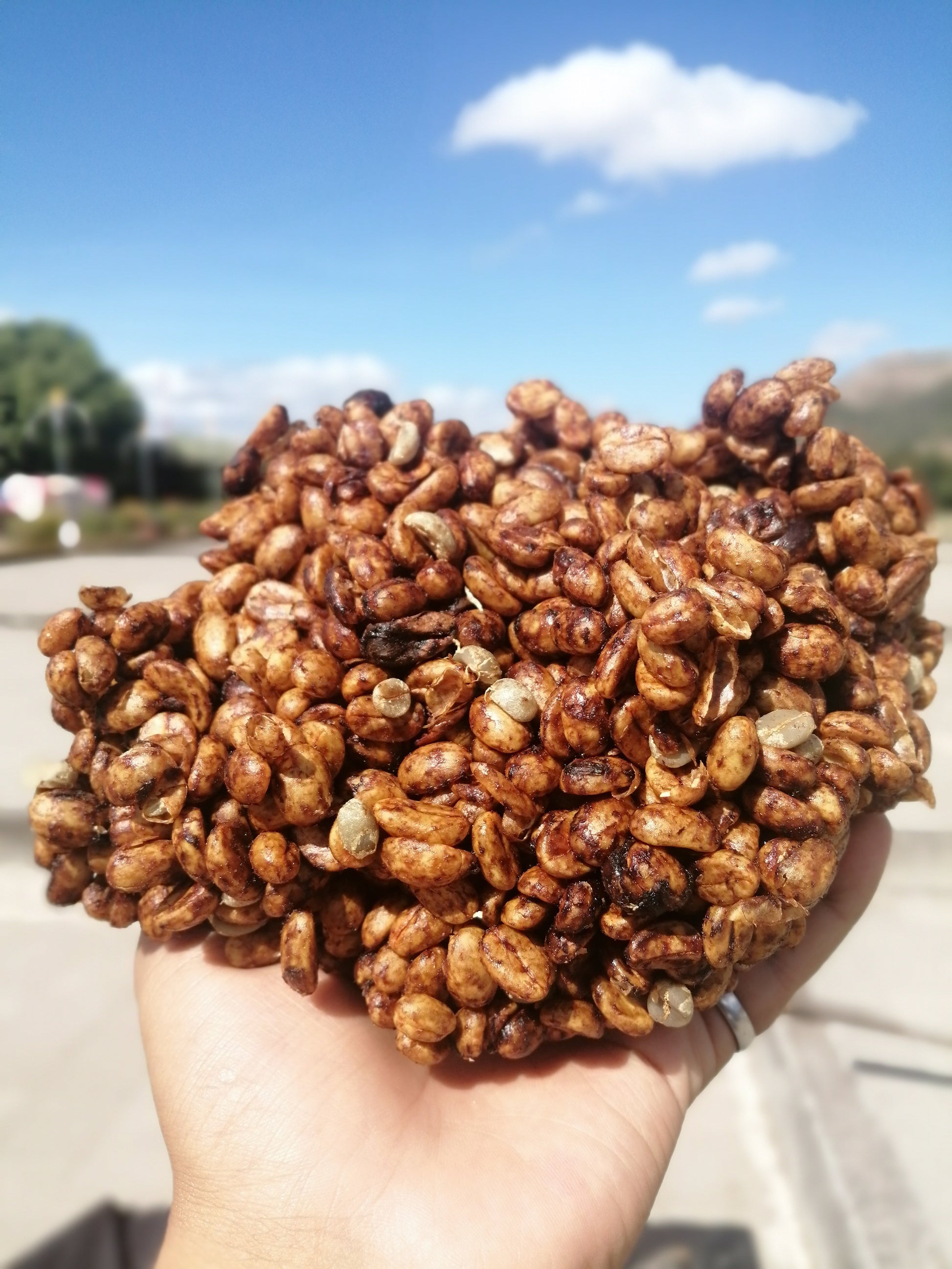 Nicolas & Angela | Red Catuai