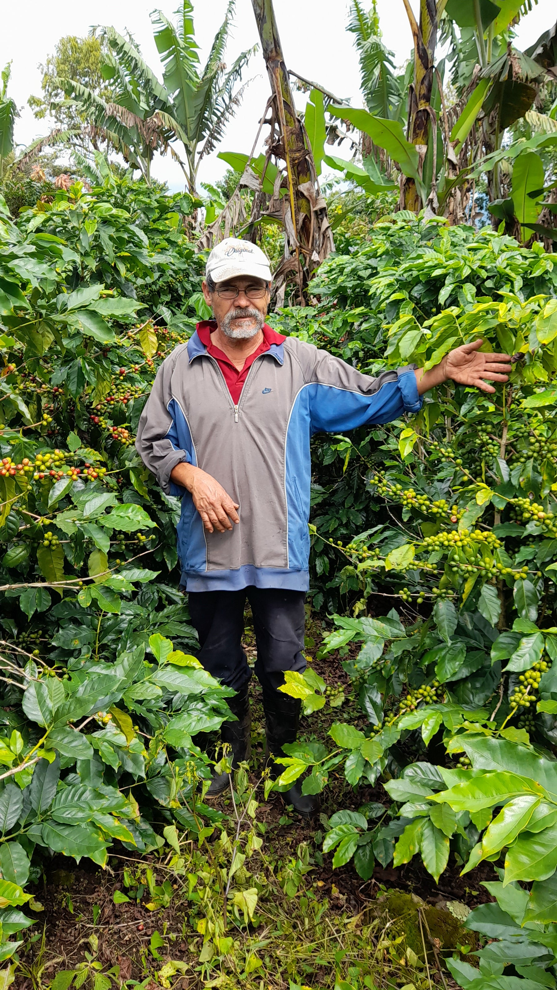 Nicolas & Angela | Red Catuai